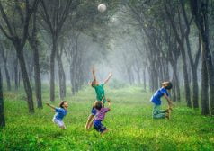 חבורת ילדים משחקים בכדור במעבה היער